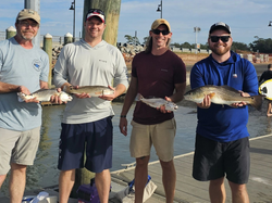 Red Drum serenade, Folly's angler's delight.